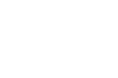 Structonix Logo